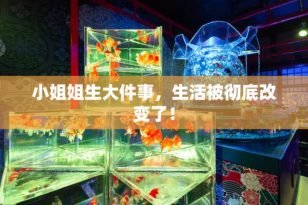 小姐姐生大件事，生活被彻底改变了！