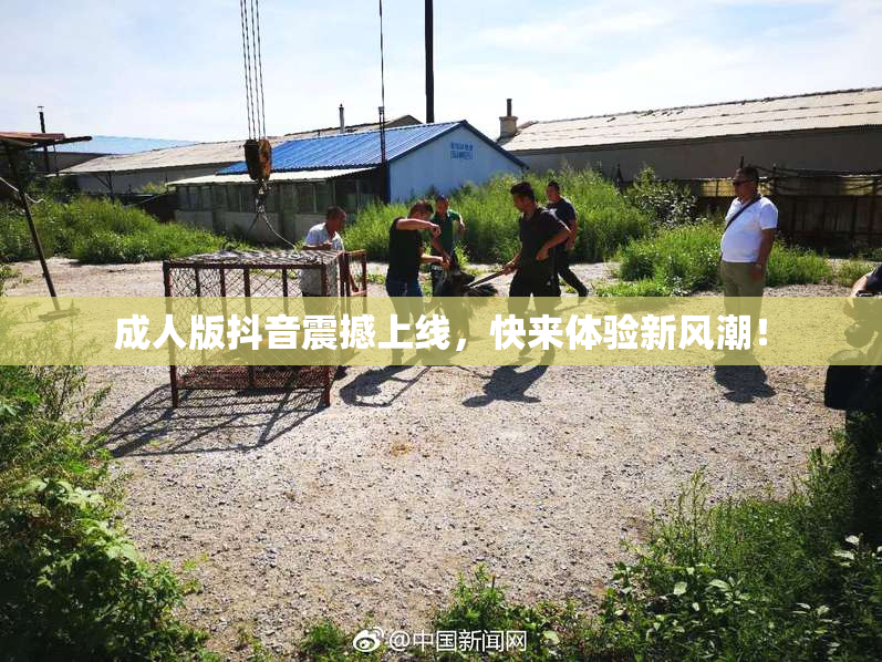 成人版抖音震撼上线，快来体验新风潮！
