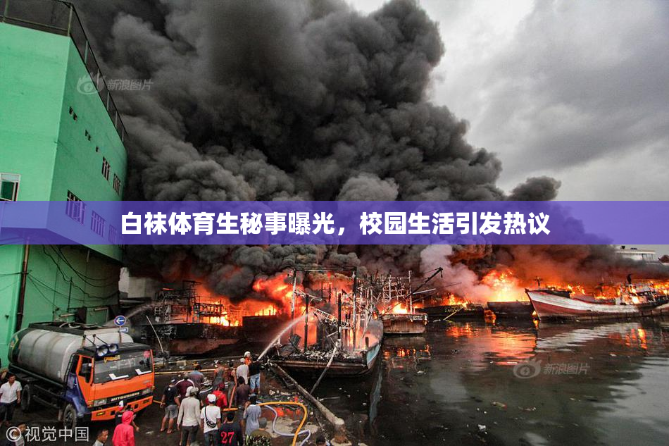 白袜体育生秘事曝光，校园生活引发热议
