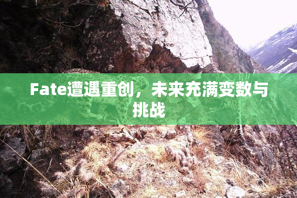 Fate遭遇重创，未来充满变数与挑战