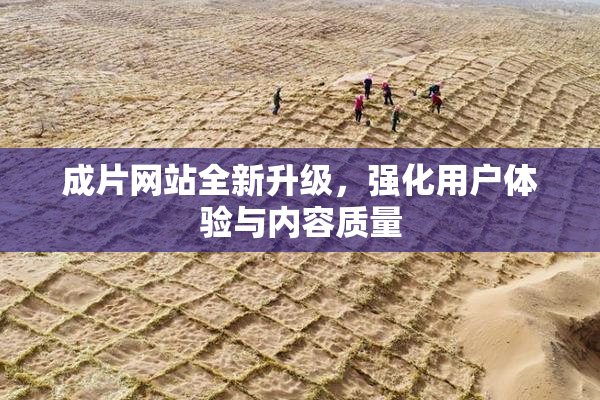 成片网站全新升级，强化用户体验与内容质量
