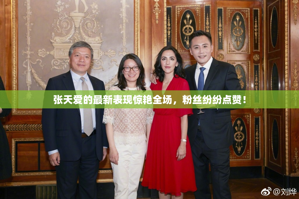 张天爱的最新表现惊艳全场，粉丝纷纷点赞！