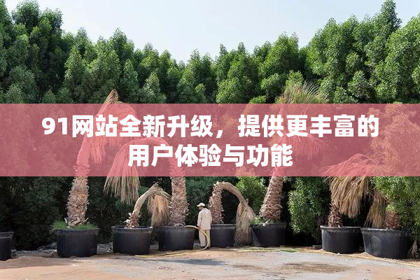 91网站全新升级，提供更丰富的用户体验与功能