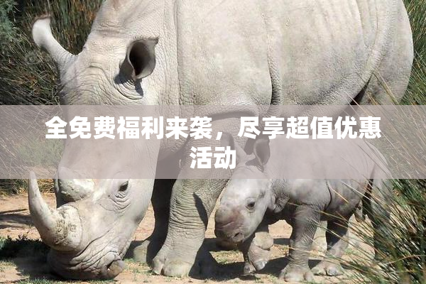 全免费福利来袭，尽享超值优惠活动