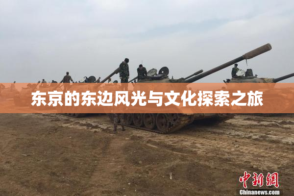 东京的东边风光与文化探索之旅
