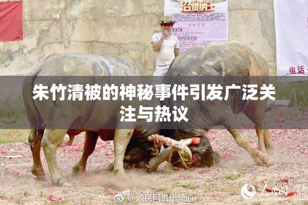 朱竹清被的神秘事件引发广泛关注与热议