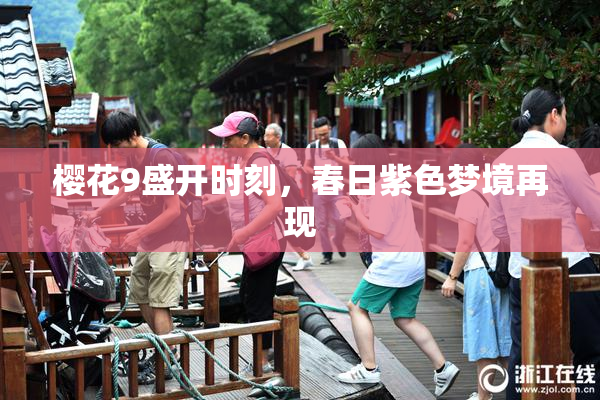 樱花9盛开时刻，春日紫色梦境再现