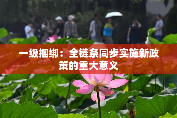 一级捆绑：全链条同步实施新政策的重大意义