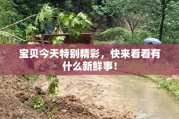 宝贝今天特别精彩，快来看看有什么新鲜事！