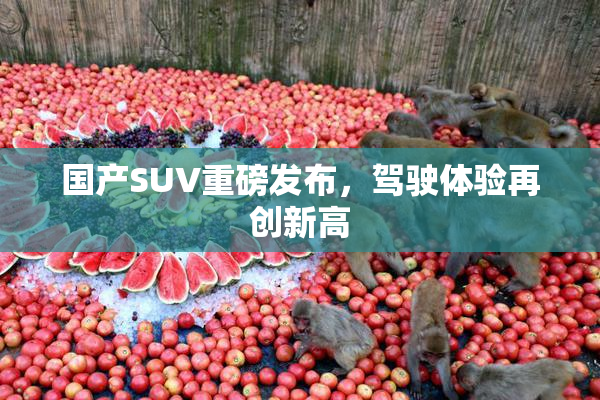 国产SUV重磅发布，驾驶体验再创新高
