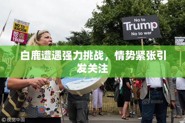 白鹿遭遇强力挑战，情势紧张引发关注