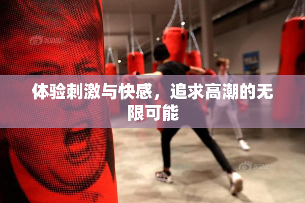 体验刺激与快感，追求高潮的无限可能