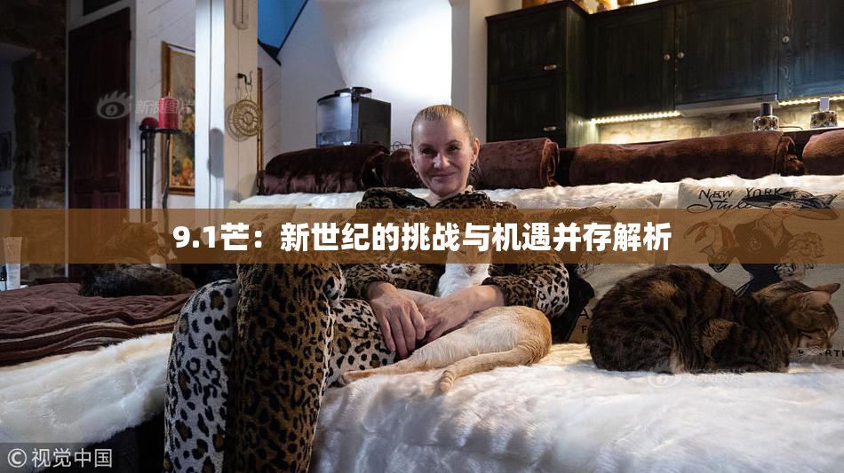9.1芒：新世纪的挑战与机遇并存解析