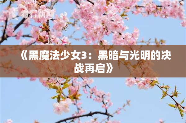 《黑魔法少女3：黑暗与光明的决战再启》