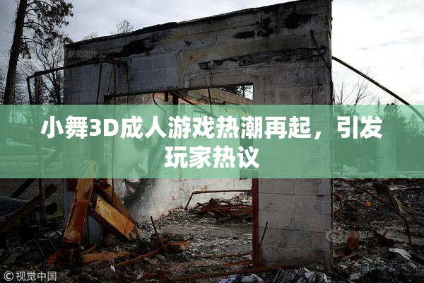 小舞3D成人游戏热潮再起，引发玩家热议