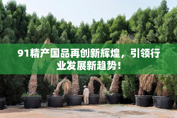 91精产国品再创新辉煌，引领行业发展新趋势！