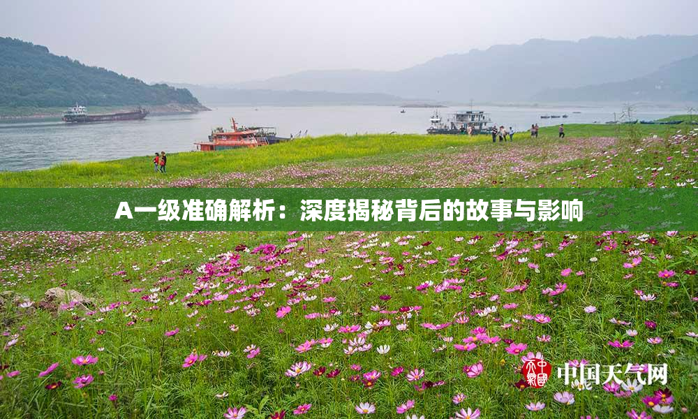 A一级准确解析：深度揭秘背后的故事与影响