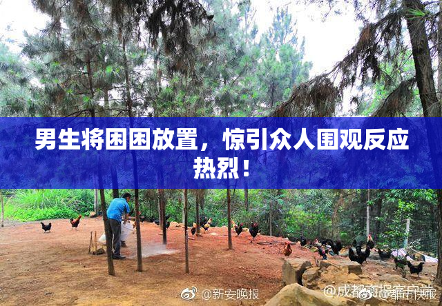 男生将困困放置，惊引众人围观反应热烈！