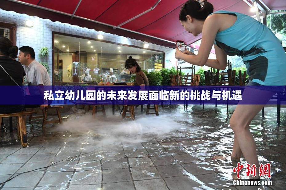 私立幼儿园的未来发展面临新的挑战与机遇