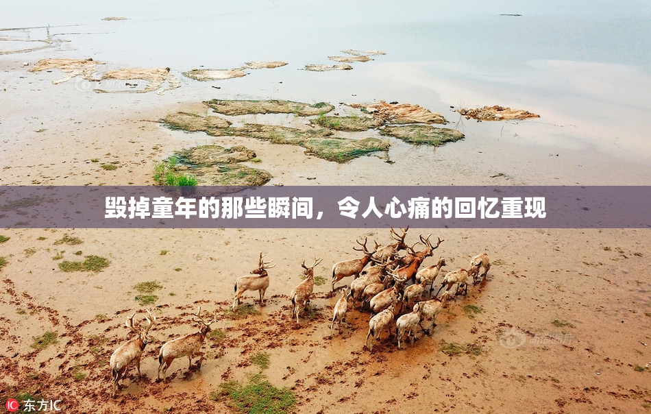 毁掉童年的那些瞬间，令人心痛的回忆重现