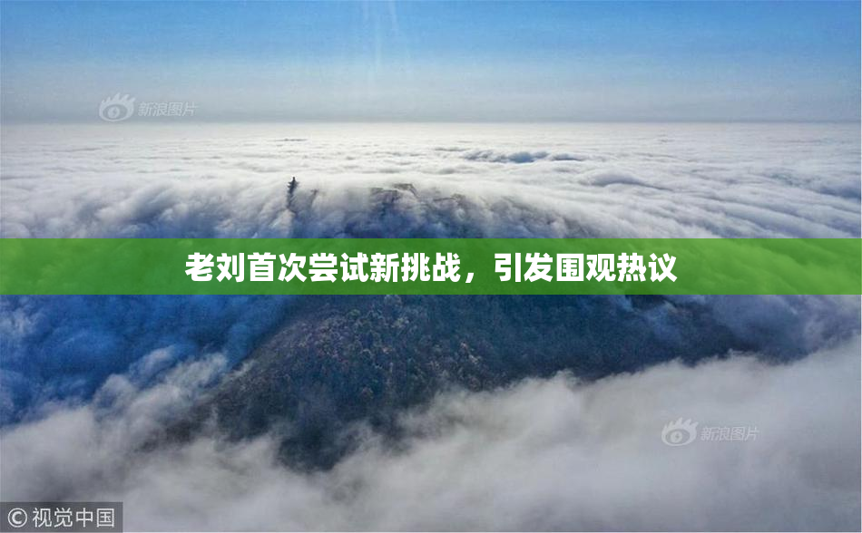 老刘首次尝试新挑战，引发围观热议