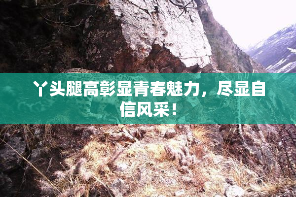 丫头腿高彰显青春魅力，尽显自信风采！