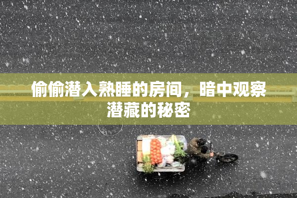 偷偷潜入熟睡的房间，暗中观察潜藏的秘密
