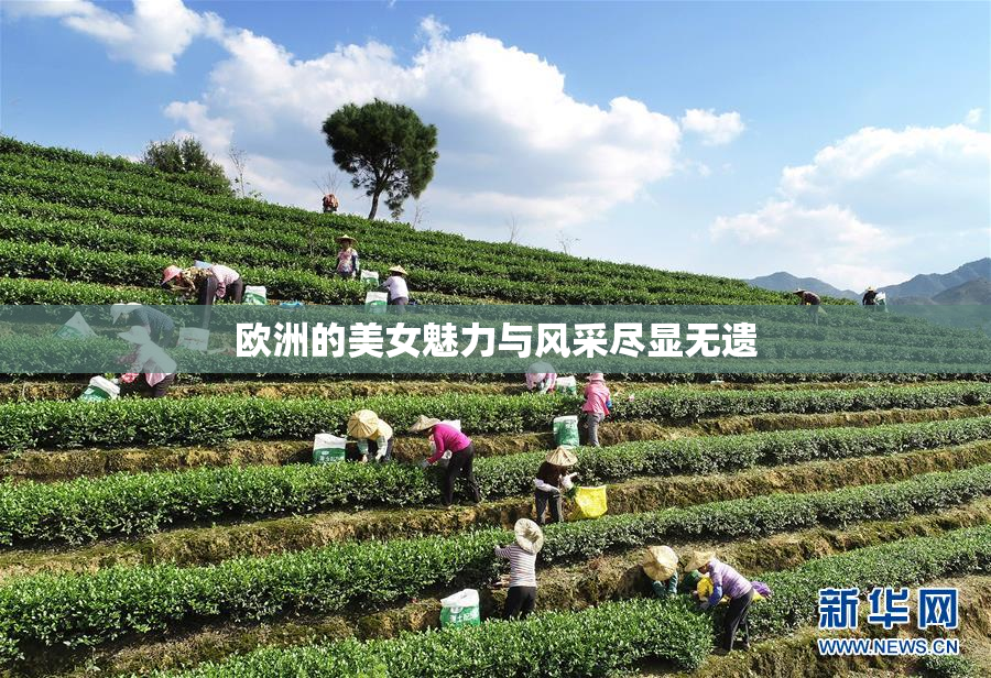 欧洲的美女魅力与风采尽显无遗