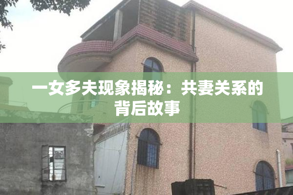 一女多夫现象揭秘：共妻关系的背后故事