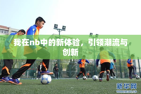 我在nb中的新体验，引领潮流与创新