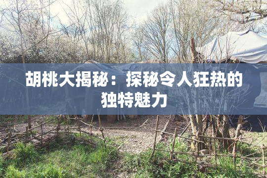 胡桃大揭秘：探秘令人狂热的独特魅力