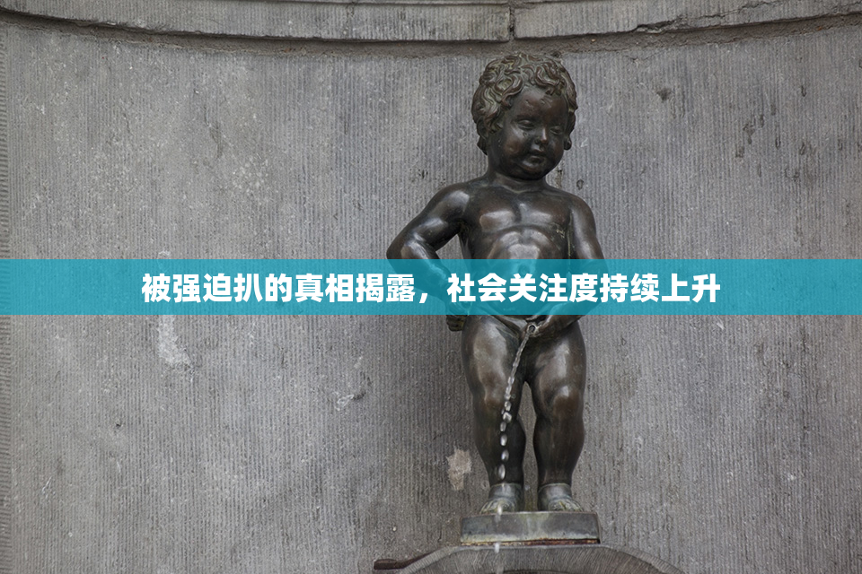 被强迫扒的真相揭露，社会关注度持续上升
