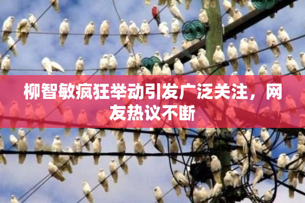 柳智敏疯狂举动引发广泛关注，网友热议不断