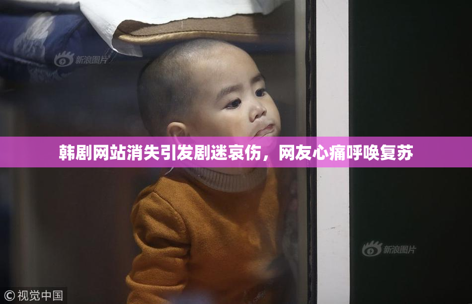 韩剧网站消失引发剧迷哀伤，网友心痛呼唤复苏