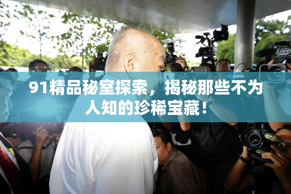 91精品秘室探索，揭秘那些不为人知的珍稀宝藏！