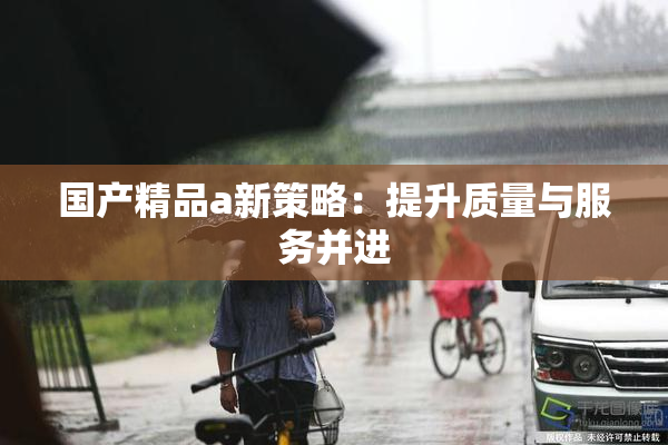 国产精品a新策略：提升质量与服务并进