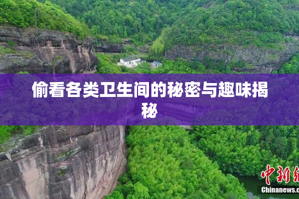 偷看各类卫生间的秘密与趣味揭秘
