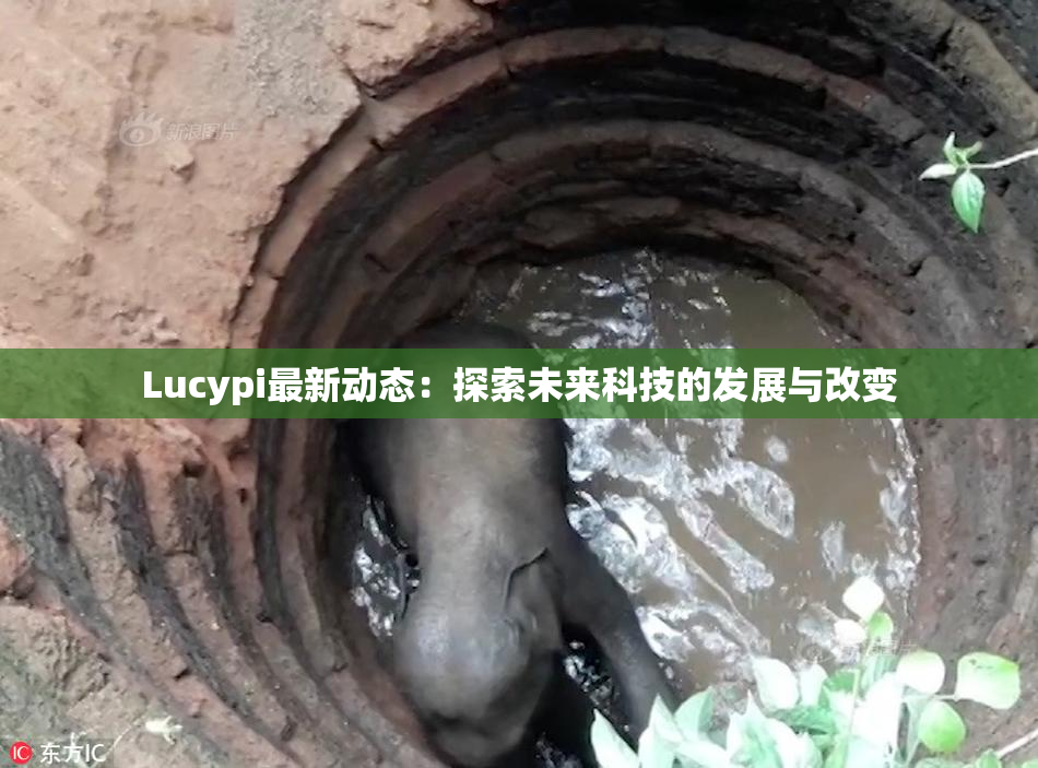 Lucypi最新动态：探索未来科技的发展与改变