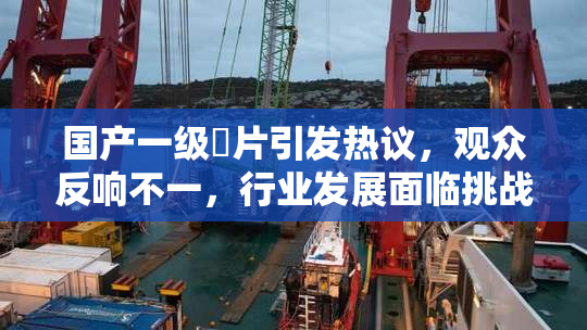 国产一级婬片引发热议，观众反响不一，行业发展面临挑战