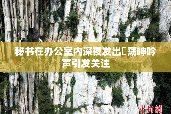 秘书在办公室内深夜发出婬荡呻吟声引发关注