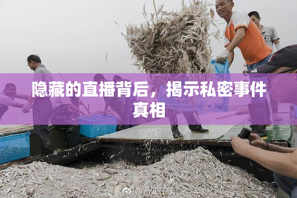 隐藏的直播背后，揭示私密事件真相