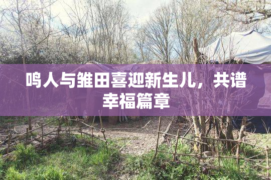 鸣人与雏田喜迎新生儿，共谱幸福篇章