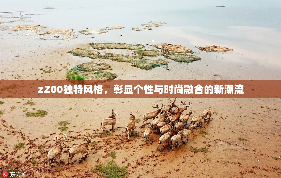 zZ00独特风格，彰显个性与时尚融合的新潮流