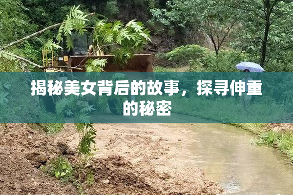 揭秘美女背后的故事，探寻伸重的秘密