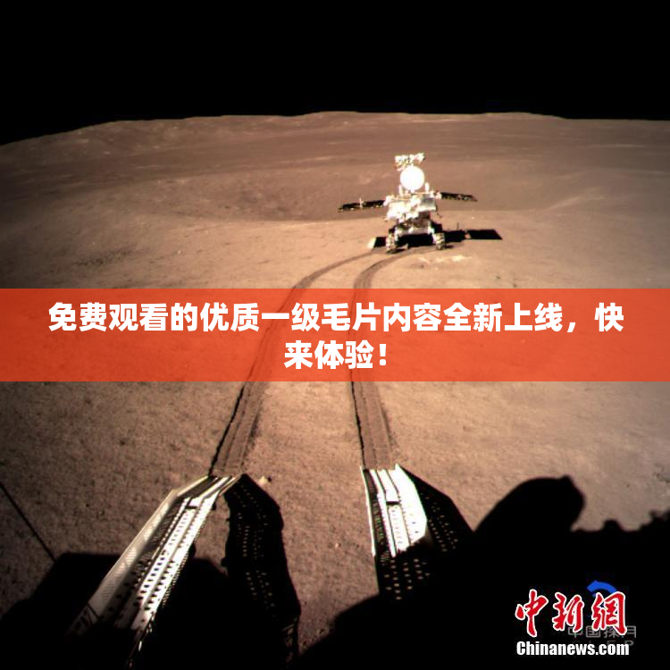 免费观看的优质一级毛片内容全新上线，快来体验！