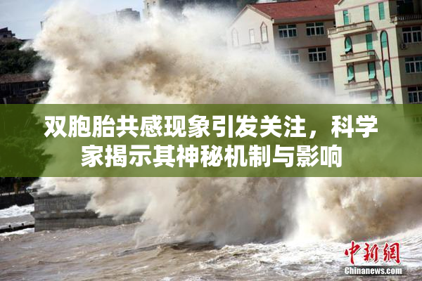 双胞胎共感现象引发关注，科学家揭示其神秘机制与影响
