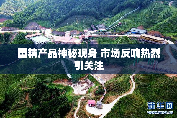 国精产品神秘现身 市场反响热烈引关注