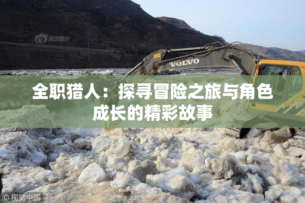 全职猎人：探寻冒险之旅与角色成长的精彩故事