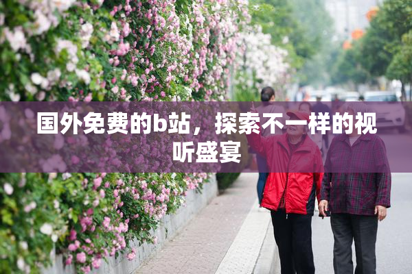 国外免费的b站，探索不一样的视听盛宴
