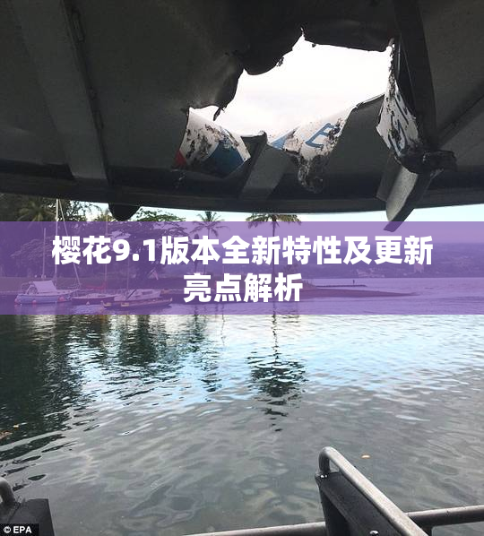 樱花9.1版本全新特性及更新亮点解析